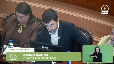 Diputados debate la reforma previsional